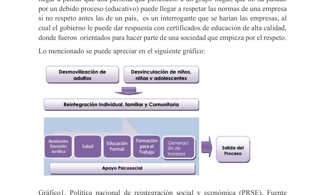 Política nacional de reintegración social y económica